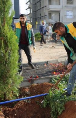 KARAKÖPRÜ’YE YENİ PARKLAR KAZANDIRILIYOR