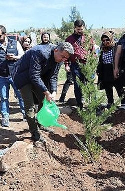 AK Parti İl Teşkilatı Fidan Dikimi Gerçekleştirdi