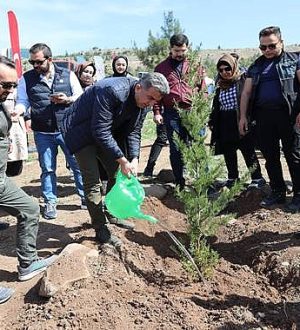 AK Parti İl Teşkilatı Fidan Dikimi Gerçekleştirdi