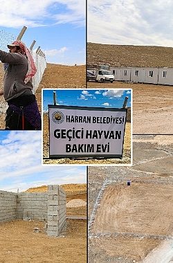 Harran’da Hayvan Bakım Evi Ve Doğal Yaşam Alanı İnşa Ediliyor