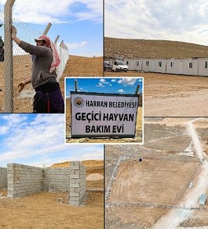 Harran’da Hayvan Bakım Evi Ve Doğal Yaşam Alanı İnşa Ediliyor