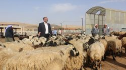 Başkan Polat: Hayvancılık Göz Göre Göre Çöküyor!