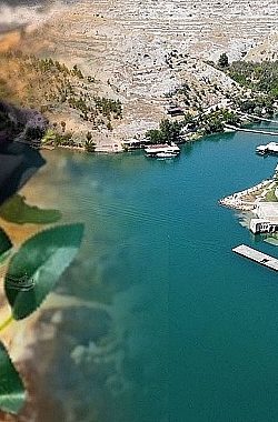 Bilim Bile Şaşkın: Siyah Gül Neden Sadece Halfeti’de Yetişiyor?