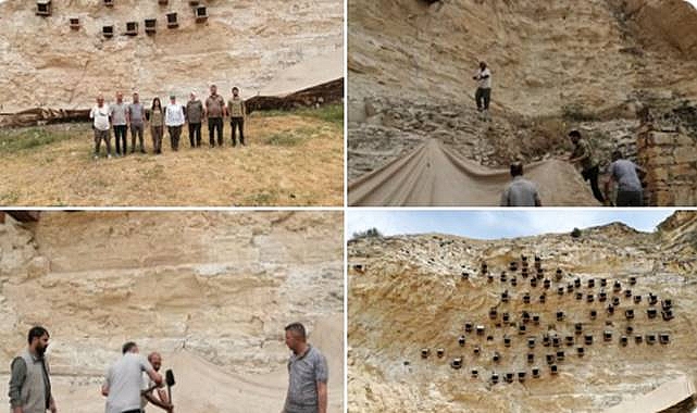  Birecik’te Kelaynak Yavruları İçin Örnek Önlem