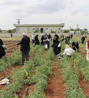 Büyükşehir’den Emekli Kadınlara Yönelik Süs Bitkisi Yetiştiriciliği Eğitimi
