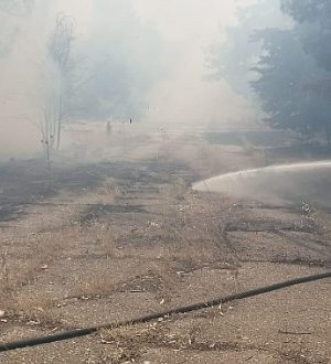 Şanlıurfa Bozova’da Orman Yangını Kontrol Altına Alındı