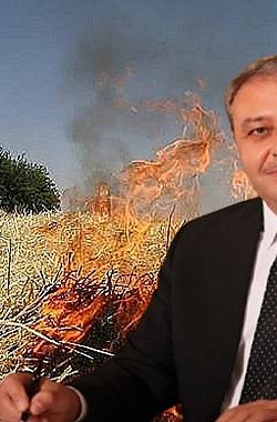 Şanlıurfa’da Hububat Hasadı Başladı: Vali Şıldak’tan Üreticilere Uyarı!