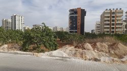 Şanlıurfa’da Tarım Arazileri Betonlaşıyor: Fıstık Bahçeleri Yerini Binalara Bırakıyor