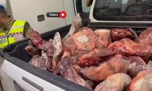 Urfa’da Gümrük Kaçağı Ve Bozulmuş Et Ele Geçirildi