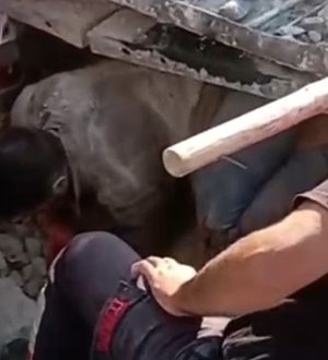 Bozova’da Duvar Çöktü: 1’i Ağır 4 İşçi Yaralandı