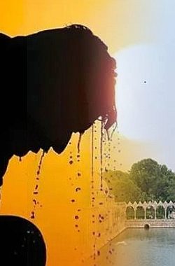 Şanlıurfa’da Kavurucu Sıcaklıklar Etkili Olacak!