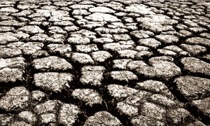 Su Krizi Derinleşiyor: Dünyada Suyu İlk Tükenecek Şehir