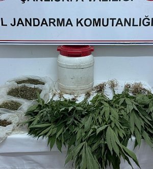 Suruç’ta Uyuşturucu Operasyonu: Kenevir ve Esrar Ele Geçirildi
