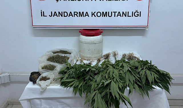  Suruç’ta Uyuşturucu Operasyonu: Kenevir ve Esrar Ele Geçirildi