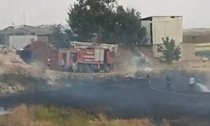 Urfa’da Bir Günde Üç Yangın: Orman, Tarla ve Mahalle Alevlere Teslim