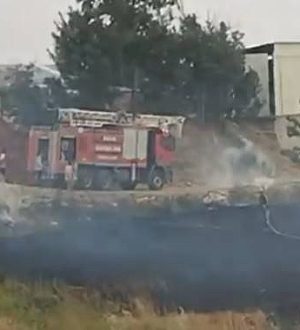 Urfa’da Bir Günde Üç Yangın: Orman, Tarla ve Mahalle Alevlere Teslim