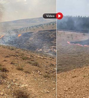 Urfa’da Orman Yangını: Müdahale Sürüyor, Helikopter Destek Veriyor