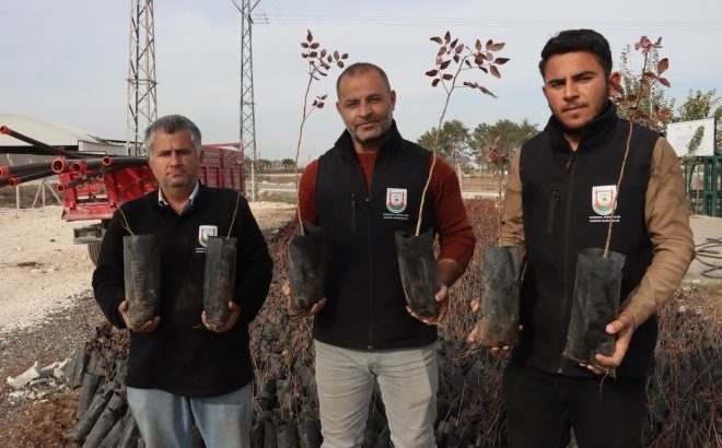 Şanlıurfa’da Çiftçilere 35 Bin Fıstık Fidanı Desteği