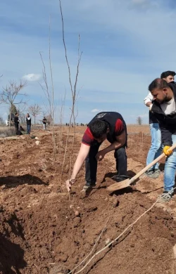 ŞANLIURFA BÜYÜKŞEHİR BELEDİYESİ’NDEN 20 BİN ÇINARLIK YEŞİL HAMLE