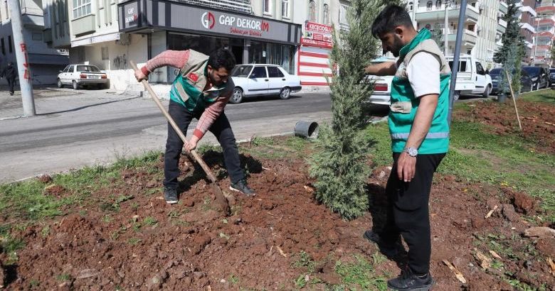  Haliliye’de yaz öncesi hummalı çalışma