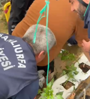 Şanlıurfa’da iş kazası: Demir parçası gencin vücuduna saplandı