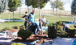 DOĞANIN HARİKA RENKLERİ, EYYÜBİYE’DE TOPRAKLA BULUŞUYOR