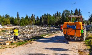 Ceylanpınar ilçe Genelinde İlaçlama Çalışmalarına Başlanıldı