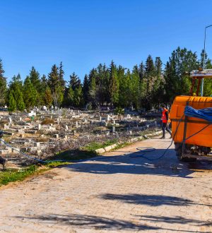 Ceylanpınar ilçe Genelinde İlaçlama Çalışmalarına Başlanıldı