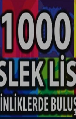 1000 Meslek Lisesi Sanatsal Etkinliklerde Buluşuyor