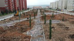 SEYRANTEPE YENİ PARKLARLA YEŞİLLENİYOR