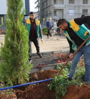 KARAKÖPRÜ’YE YENİ PARKLAR KAZANDIRILIYOR