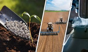 5.6 Milyar Liralık Destekleme Ödemesi Hesaplara Aktarılıyor