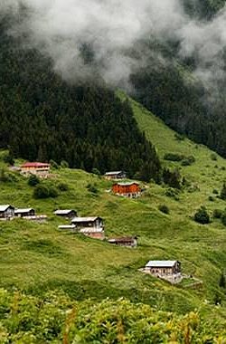 2025 Aile Yılı Kapsamında Ailelere Yönelik Müjdeler Açıklandı!