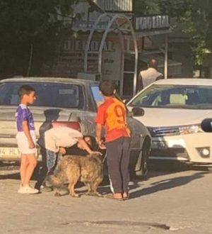 Şanlıurfa’da Çocuklar Sokak Köpekleriyle Tehlikeli Oyunlar Oynadı