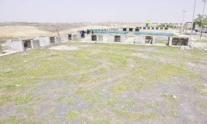 Ceylanpınar’da Sahipsiz Sokak Hayvanları İçin Geçici Barınak Yapılıyor