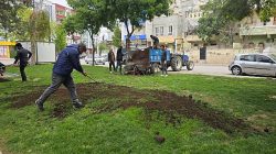 Eyyüpkent Parkları Yaza Hazır