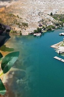 Halfeti’de Kara Gül Hasadı Başladı