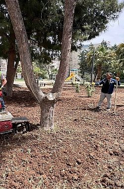 Haliliye Belediyesi Mevsimsel Çalışmalarla Yeşile Hayat Veriyor