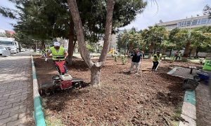 Haliliye Belediyesi Mevsimsel Çalışmalarla Yeşile Hayat Veriyor