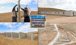 Harran’da Hayvan Bakım Evi Ve Doğal Yaşam Alanı İnşa Ediliyor
