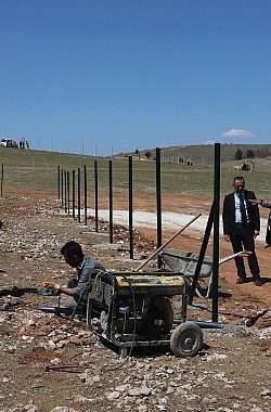 Karaköprü Belediyesi Sokak Hayvanları İçin Barınak yapıyor