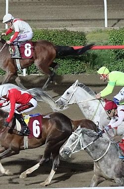 Kurtuluş Koşusunu ‘Hedbe’ Kazandı