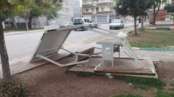 Kuşçuoğlu Parkı’nda Kamelyalar Tahrip Edildi