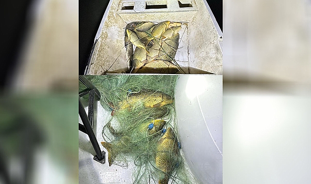  Şanlıurfa’da Kaçak Balık Avcıları Suçüstü Yakalandı!