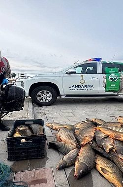 Şanlıurfa’da Kaçak Balık Avına Geçit Yok: Rekor Ceza!