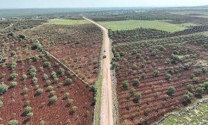 Şanlıurfa’da Kırsal Yollar Yenileniyor
