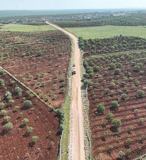 Şanlıurfa’da Kırsal Yollar Yenileniyor