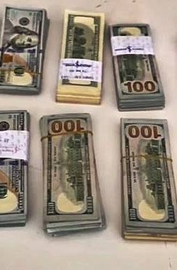 Şanlıurfa Emniyetinden Dolandırıcılık Operasyonu: 155.000 Dolar Ele Geçirildi