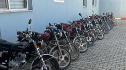 Siverek’te “Resmi Belgede Sahtecilik” Operasyonu: 14 Kişi Yakalandı