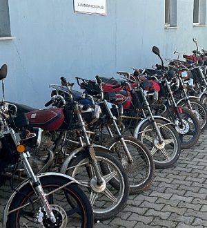 Siverek’te “Resmi Belgede Sahtecilik” Operasyonu: 14 Kişi Yakalandı